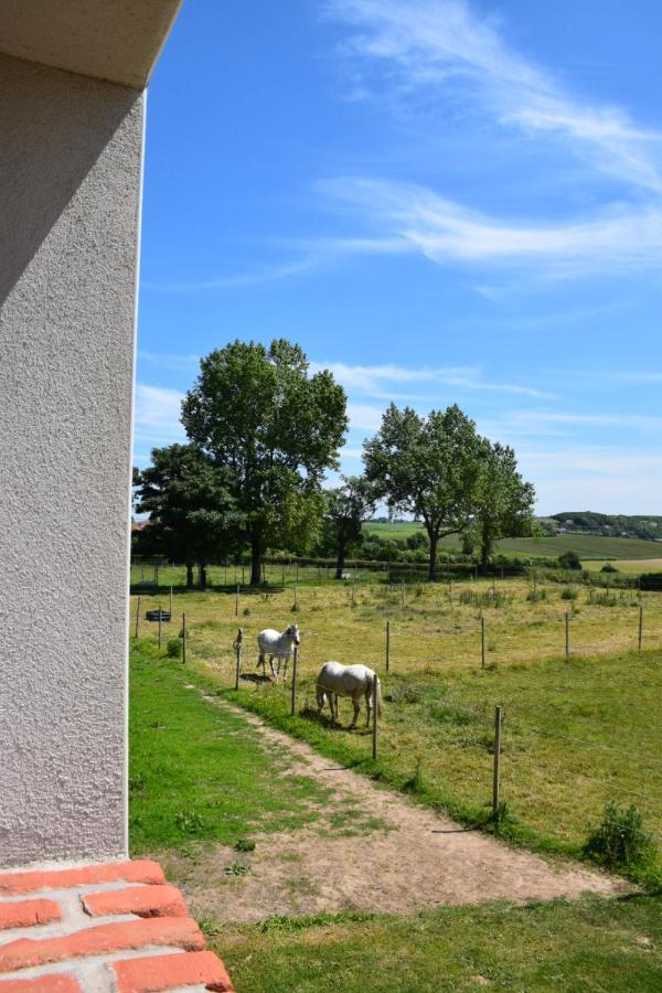 Caffiers Le Clos De L'Angley Gites Et Ecurie מראה חיצוני תמונה